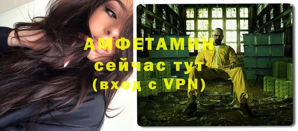 крисы Ростов